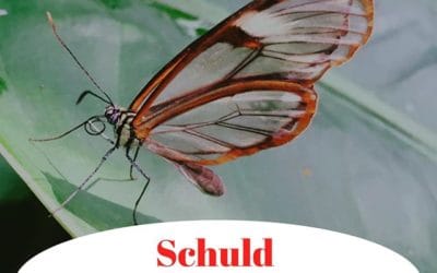 Schuld en Onschuld