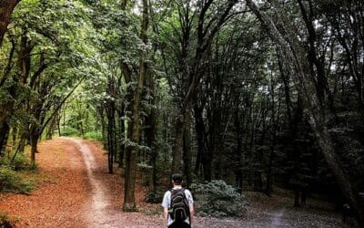 Je kunt iedere dag opnieuw beginnen