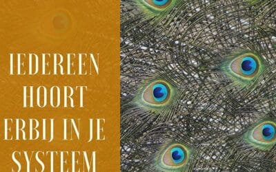 Iedereen hoort erbij in je systeem