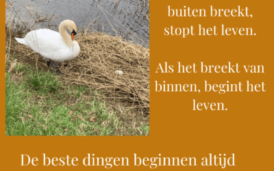 De beste dingen beginnen vanuit je innerlijke
