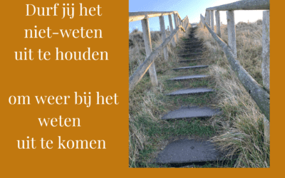 Het niet weten uithouden