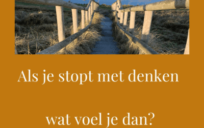 Als je stopt met denken wat voel je dan?