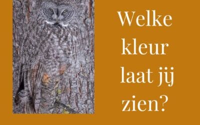 Welke kleur laat jij zien?