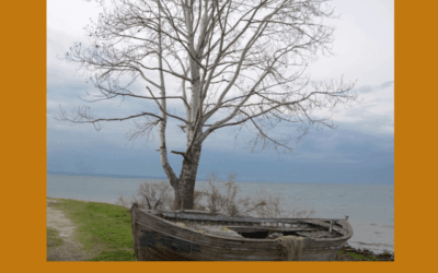 Een boom houdt ook niet krampachtig zijn bladeren vast