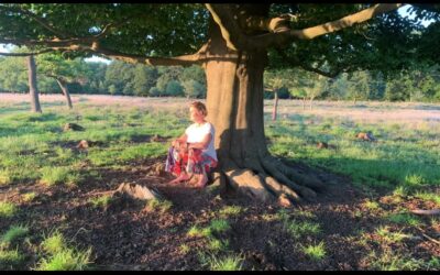 Je triggers uit je geschiedenis